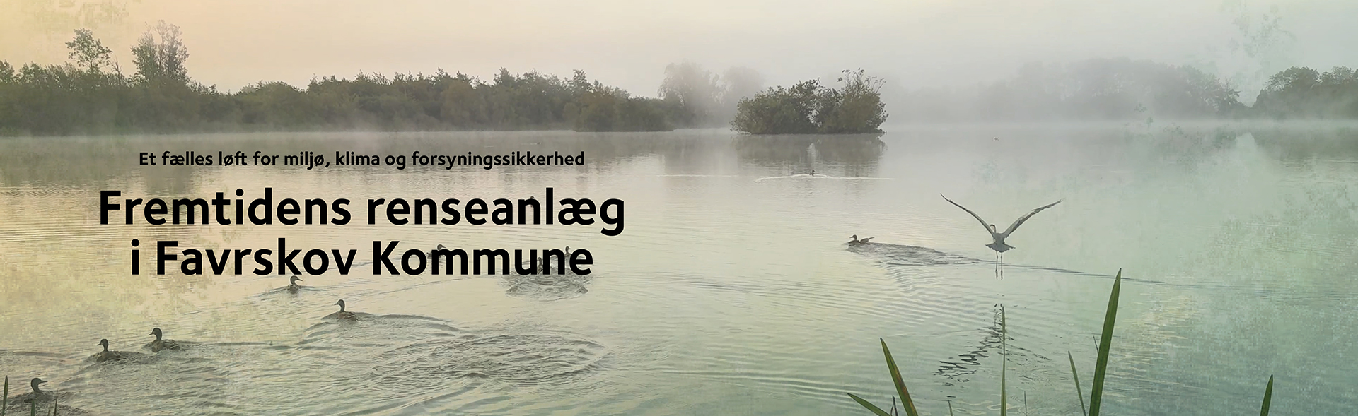 Foto af sø, hvor en fiskehejre flyder henover vandoverfladen samt en række ænder